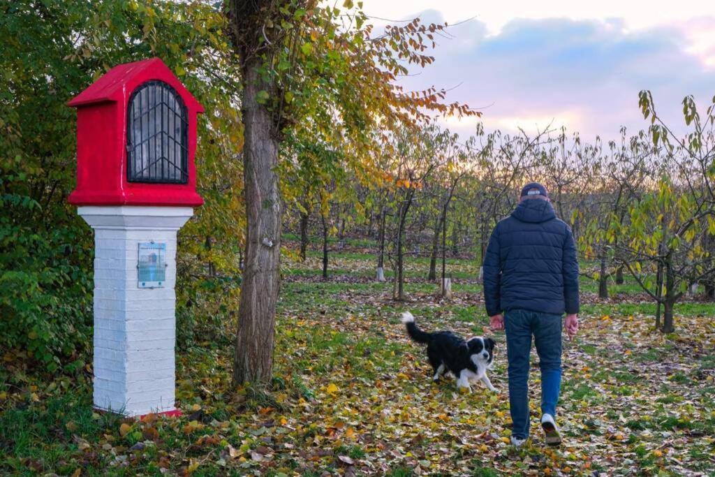 Hasbania Vakantiewoning Gingelom Dış mekan fotoğraf